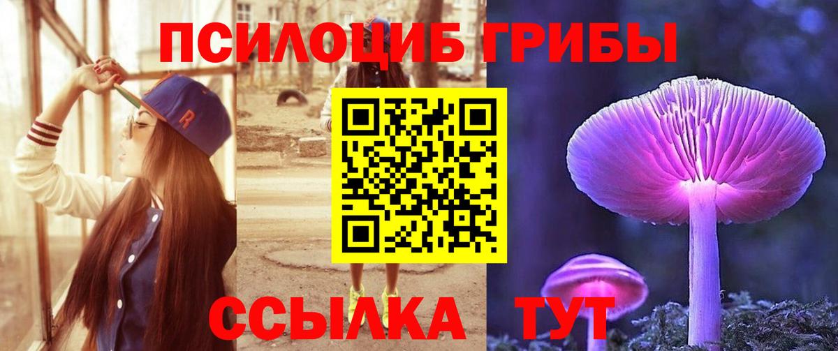 Псилоцибиновые грибы MAGIC MUSHROOMS  купить наркотик  Вход с VPN  Долгопрудный  Галлюциногенные грибы Cubensis 
